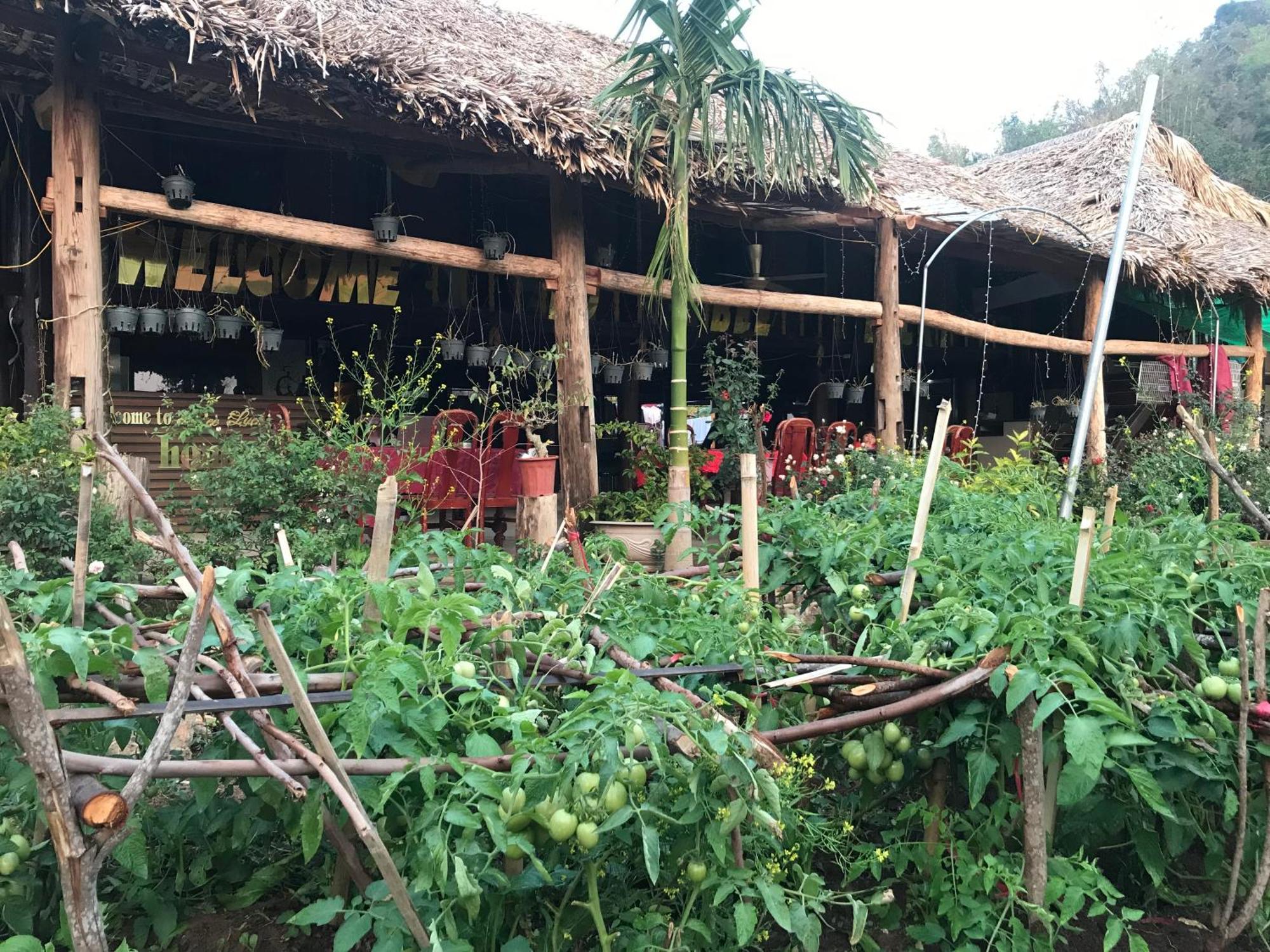 Bee Lucky Homestay Hien Hao Eksteriør bilde